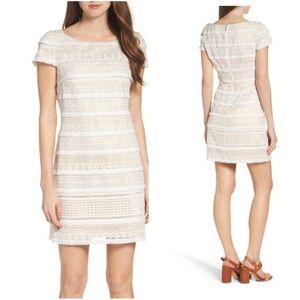 ELIZA J white sheath dress with fringe pattern amazing worn condition size 6